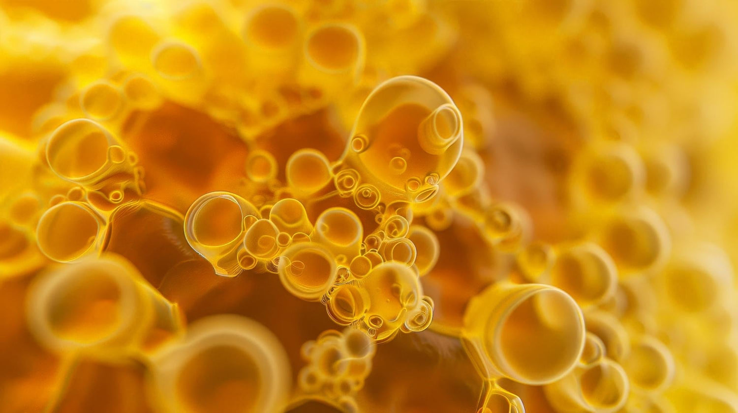 Výhody lipozomálních vitaminů, minerálů a dalších bioaktivních látek
